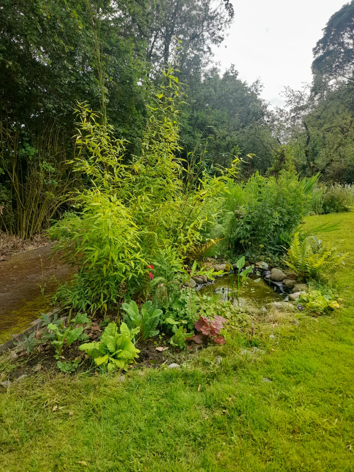 Pond Pond