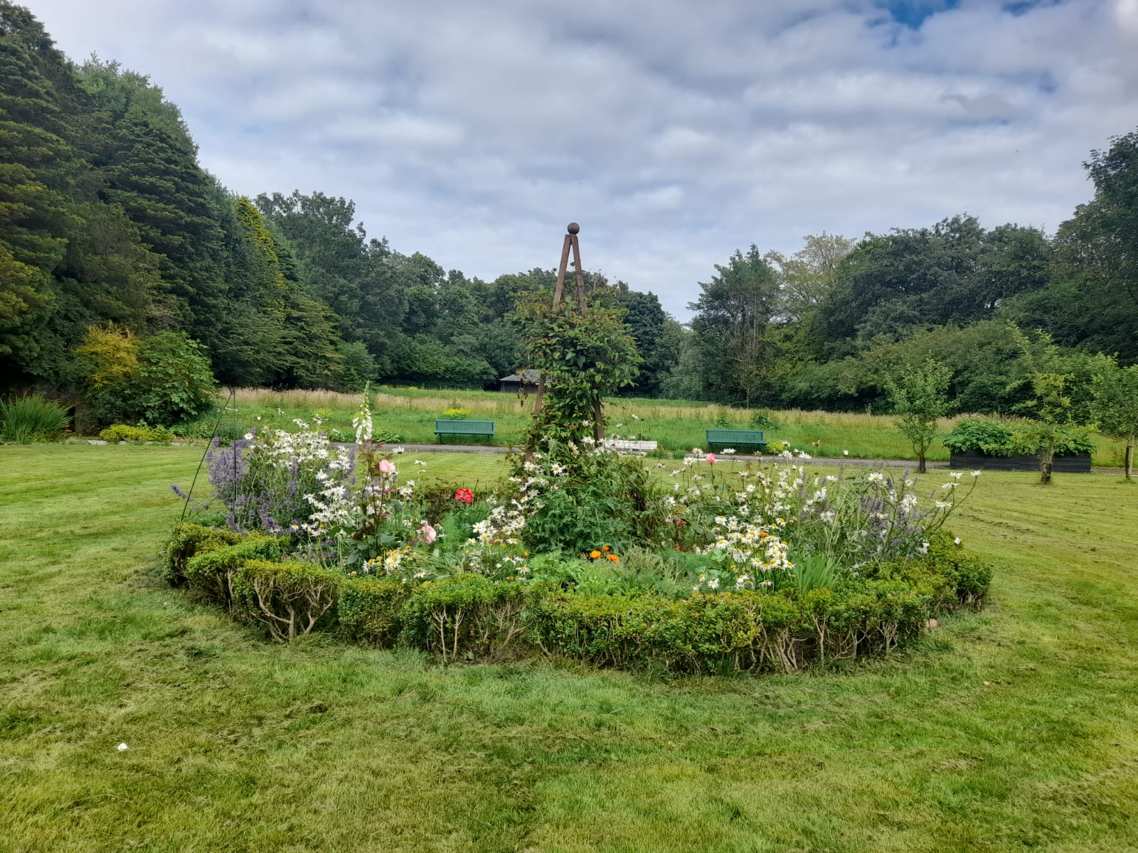 Rose garden Rose garden