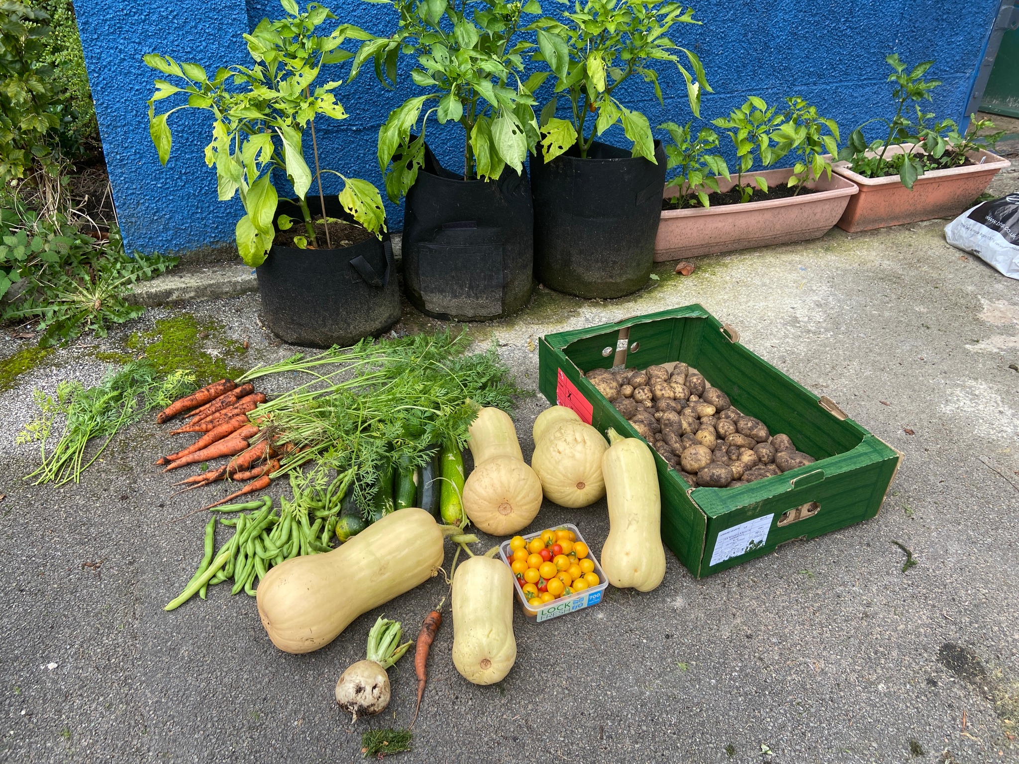 Some produce 2024 Some produce 2024