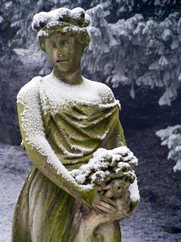 Flora